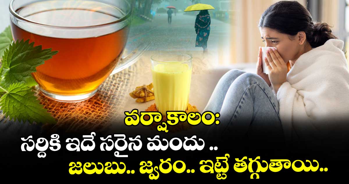 వర్షాకాలం:  సర్దికి ఇదే సరైన మందు .. జలుబు.. జ్వరం.. ఇట్టే తగ్గుతాయి..