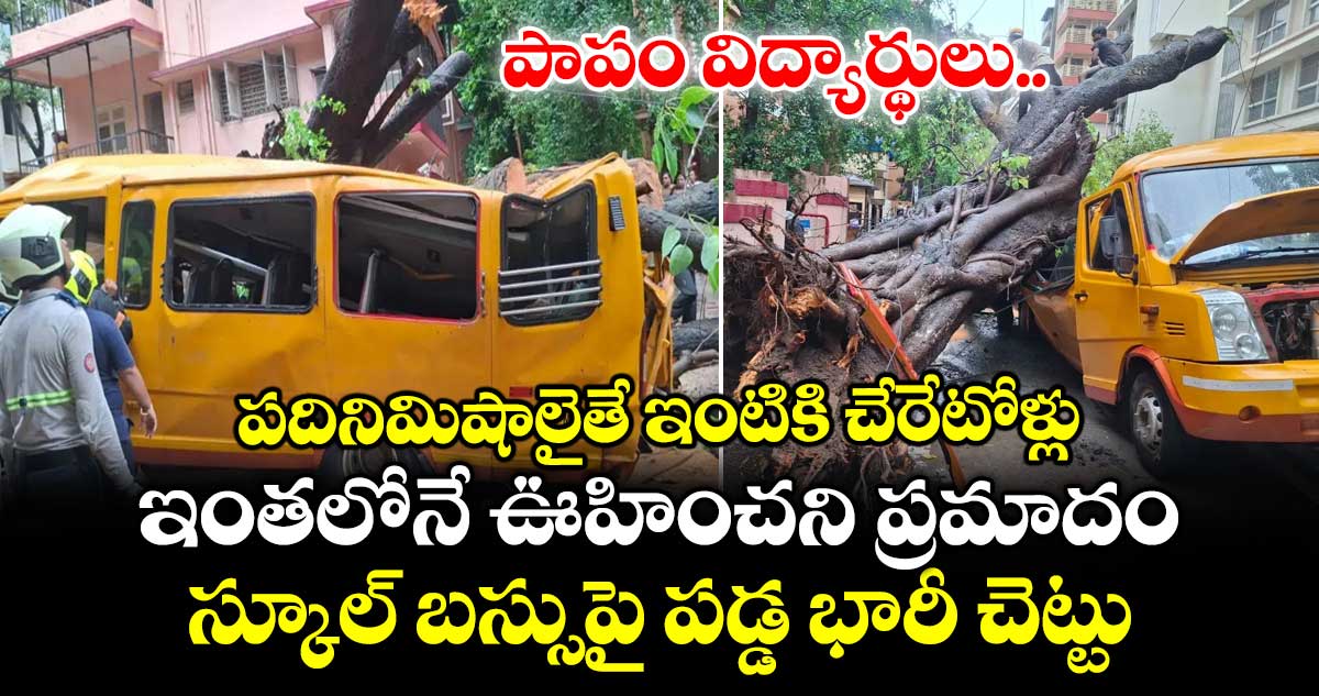 పాపం విద్యార్థులు..పదినిమిషాలైతే ఇంటికి చేరేటోళ్లు.. ఇంతలోనే ఊహించనిప్రమాదం.. స్కూల్ బస్సుపై పడ్డ భారీచెట్టు