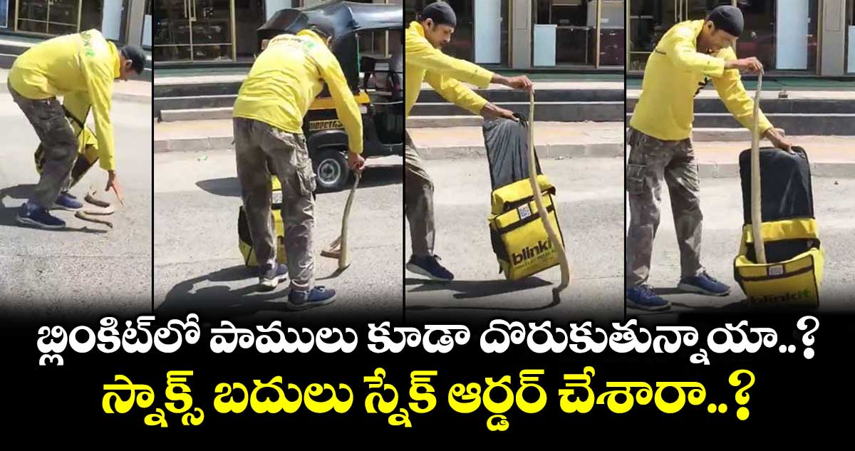 బ్లింకిట్⁬లో పాములు కూడా దొరుకుతున్నాయా..? స్నాక్స్ బదులు స్నేక్ ఆర్డర్ చేశారా..?