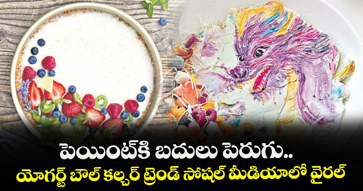 పెయింట్కి బదులు పెరుగు.. యోగర్ట్ బౌల్ కల్చర్ ట్రెండ్ సోషల్ మీడియాలో వైరల్