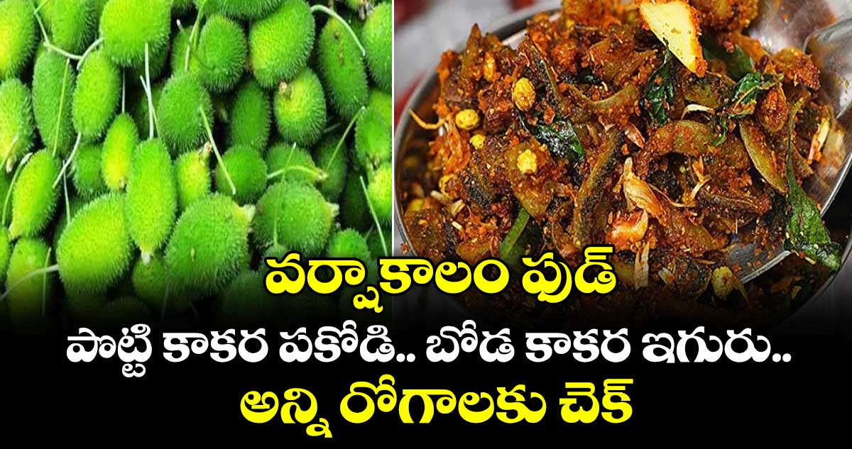 Kitchen Telangana:  వర్షాకాలం ఫుడ్ ..పొట్టి కాకర పకోడి.. బోడ కాకర ఇగురు.. అన్ని రోగాలకు చెక్