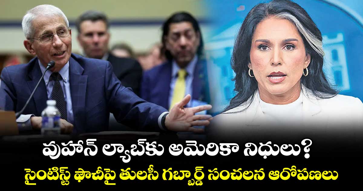 వుహాన్ ల్యాబ్  కు అమెరికా నిధులు?  సైంటిస్ట్ ఫౌచీపై తులసీ గబ్బార్డ్ సంచలన ఆరోపణలు