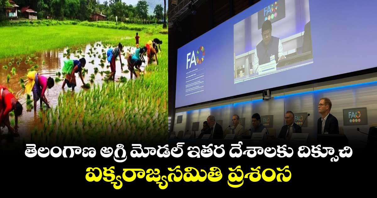 తెలంగాణ అగ్రి మోడల్ ఇతర దేశాలకు దిక్సూచి..ఐక్యరాజ్యసమితి ప్రశంస
