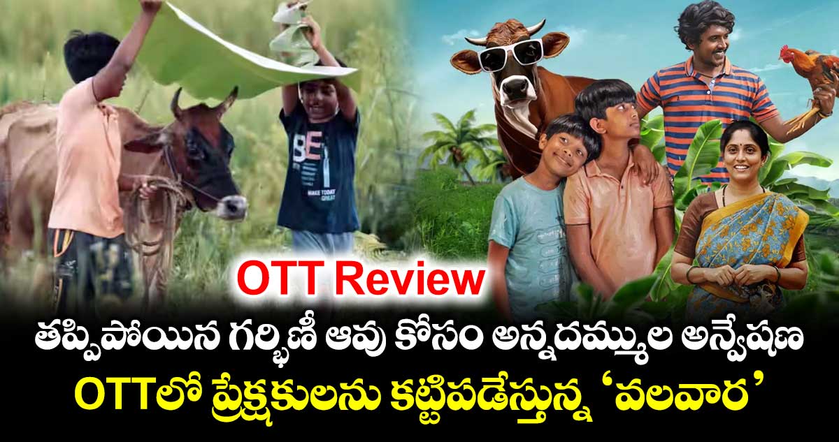 OTT Review: తప్పిపోయిన గర్భిణీ ఆవు కోసం అన్నదమ్ముల అన్వేషణ.. ఓటీటీలో ప్రేక్షకులను కట్టిపడేస్తున్న ‘వలవార’