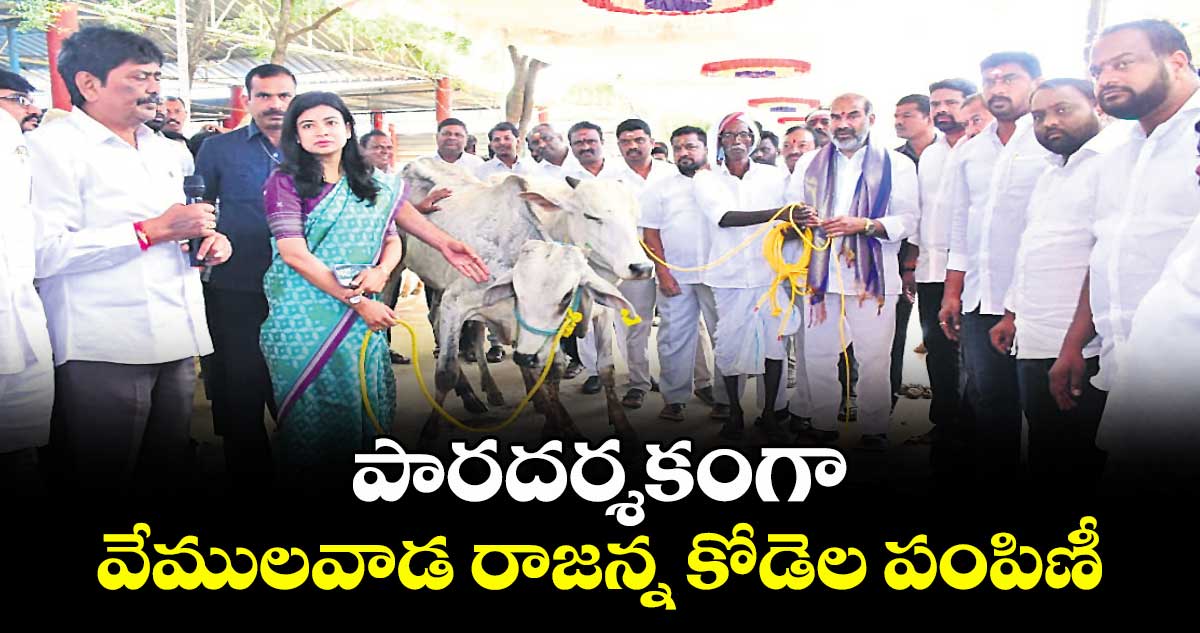 పారదర్శకంగా వేములవాడ రాజన్న కోడెల పంపిణీ  : విప్ ఆది శ్రీనివాస్