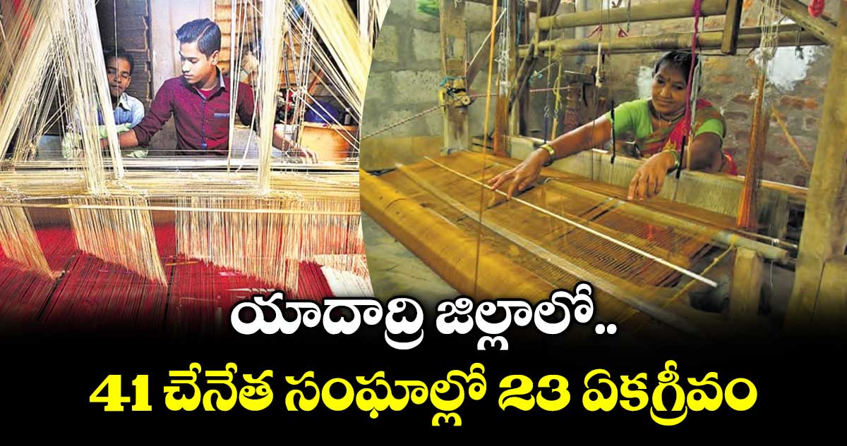 యాదాద్రి జిల్లాలో 41 చేనేత సంఘాల్లో 23 ఏకగ్రీవం