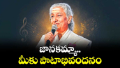 వెలుగు ఓపెన్ పేజీ.. జానకమ్మా.. మీకు పాటాభివందనం