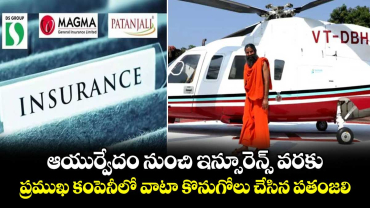 ఆయుర్వేదం నుంచి ఇన్సూరెన్స్ వరకు..  ప్రముఖ కంపెనీలో వాటా  కొనుగోలు చేసిన పతంజలి