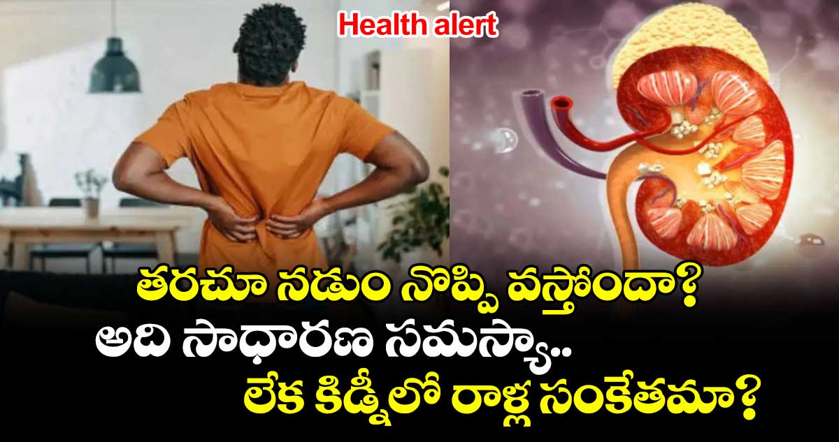 Health alert: తరచూ నడుం నొప్పి వస్తోందా? అది సాధారణ సమస్యా.. లేక కిడ్నీలో రాళ్ల సంకేతమా?