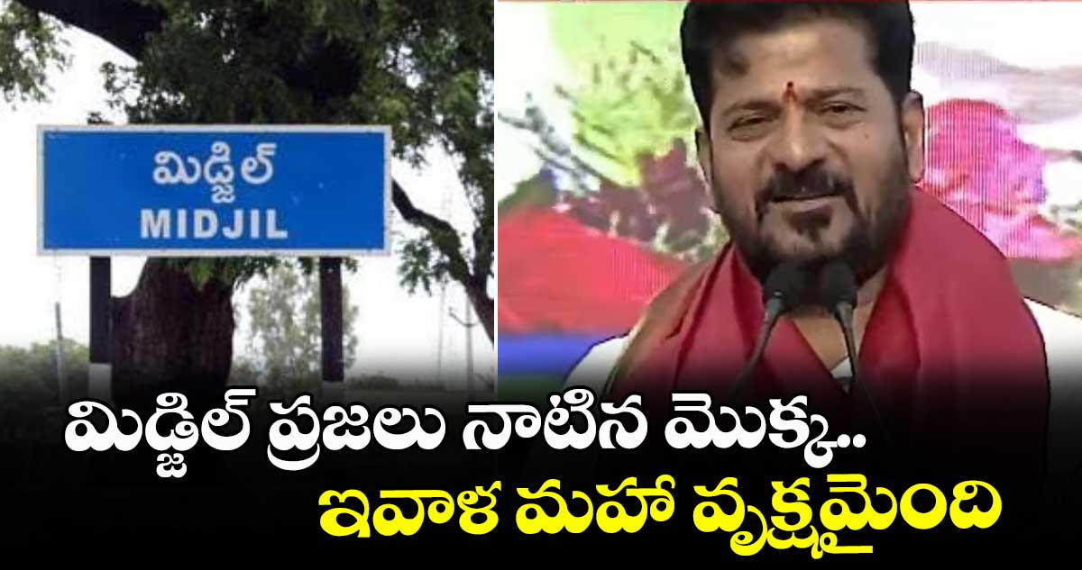 మిడ్జిల్ ప్రజలు నాటిన మొక్క.. ఇవాళ మహా వృక్షమైంది: సీఎం రేవంత్