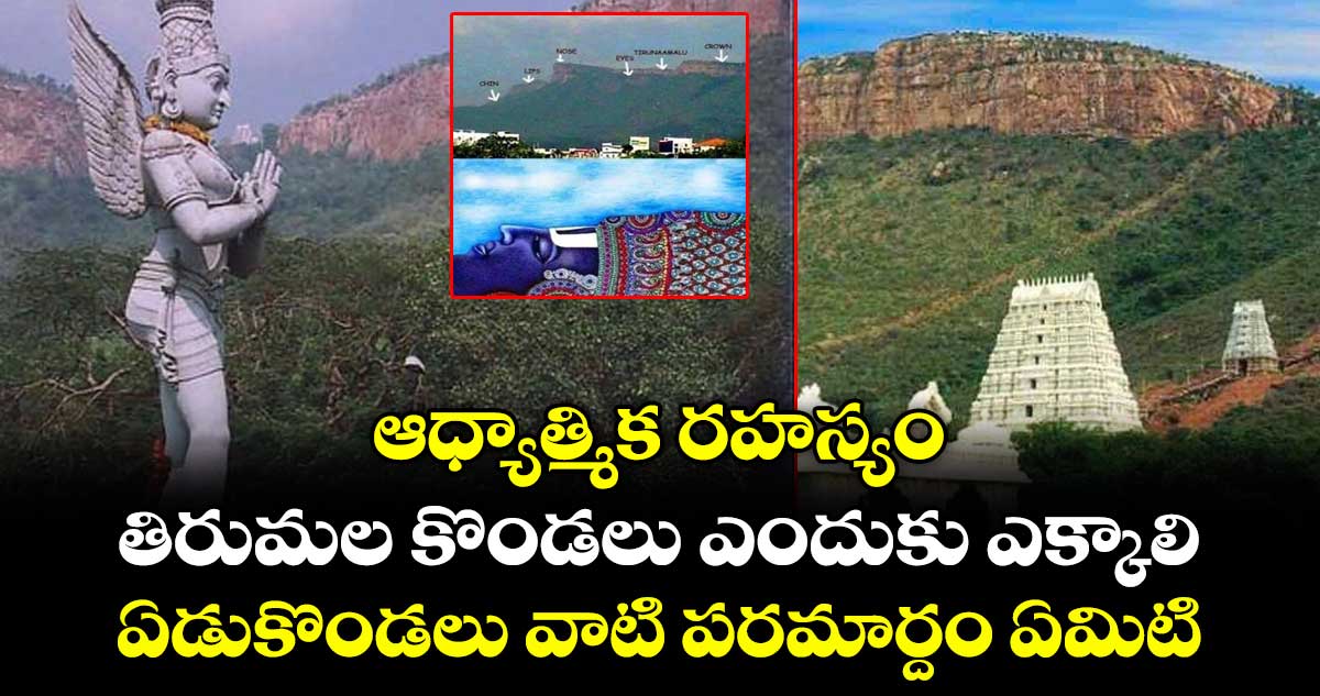 ఆధ్యాత్మిక రహస్యం:  తిరుమల కొండలు ఎందుకు ఎక్కాలి.. ఏడుకొండలు  వాటి పరమార్దం ఏమిటి
