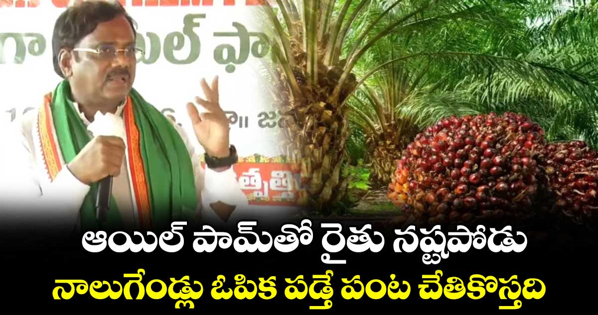 ఆయిల్ పామ్‎తో రైతు నష్టపోడు.. నాలుగేండ్లు ఓపిక పడ్తే పంట చేతికొస్తది: మంత్రి వివేక్