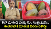కిలో మామిడి పండ్లు రూ. 2లక్షల11వేలు.. మియాజాకి మామిడి పండు రికార్డు 
