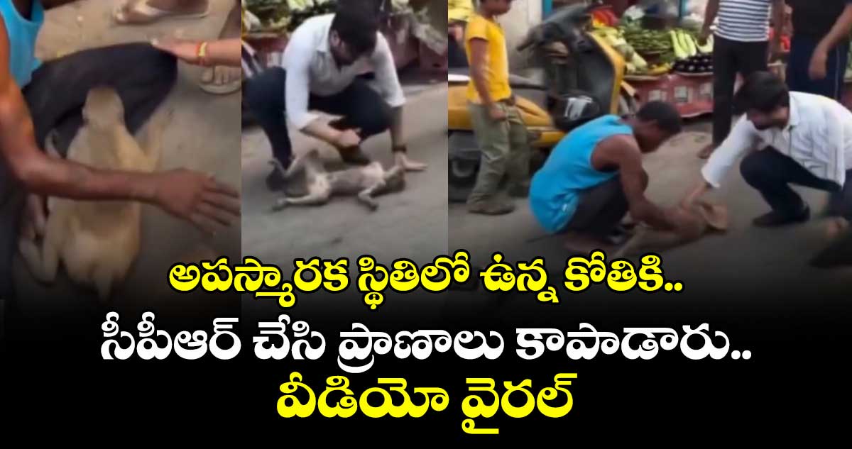 అపస్మారక స్థితిలో ఉన్న కోతికి.. సీపీఆర్ చేసి ప్రాణాలు కాపాడారు.. వీడియో వైరల్