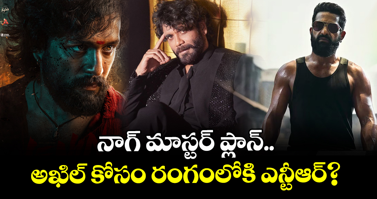 NTR for LENIN: నాగ్ మాస్టర్ ప్లాన్.. అఖిల్ కోసం రంగంలోకి ఎన్టీఆర్?
