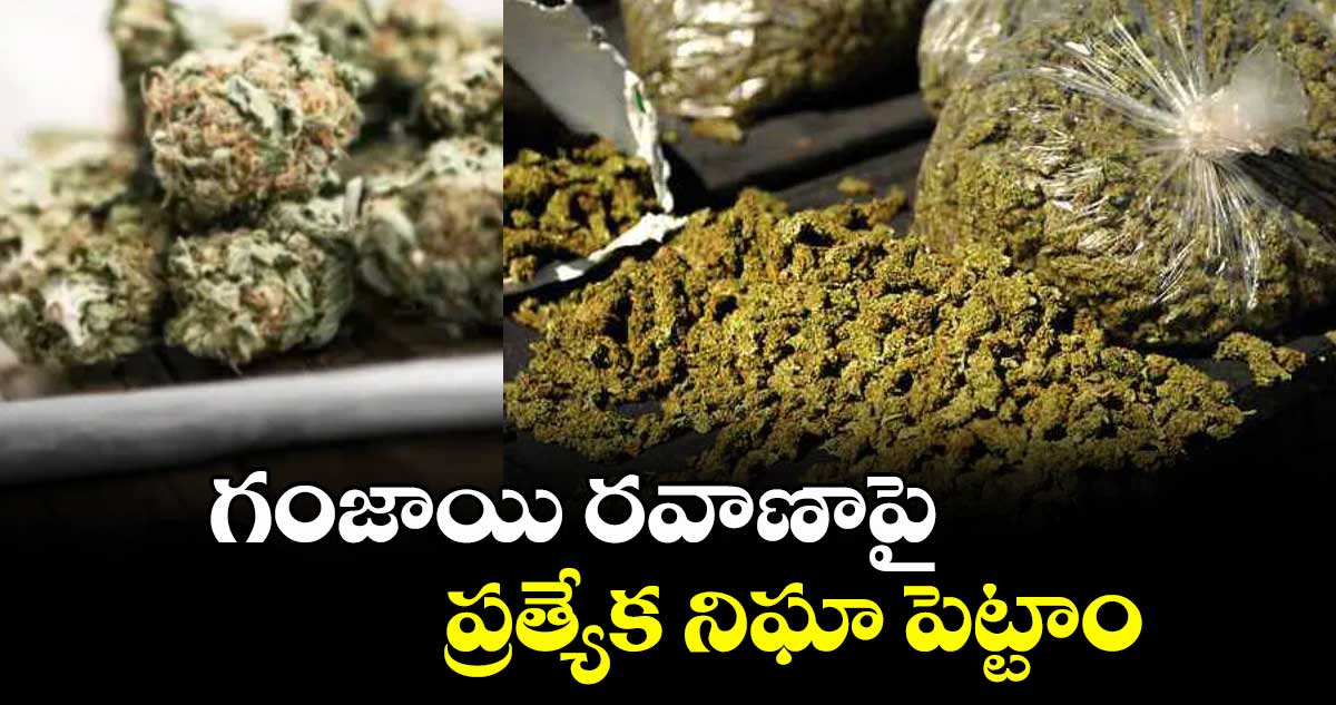 ఖమ్మం: గంజాయి రవాణాపై ప్రత్యేక నిఘా పెట్టాం
