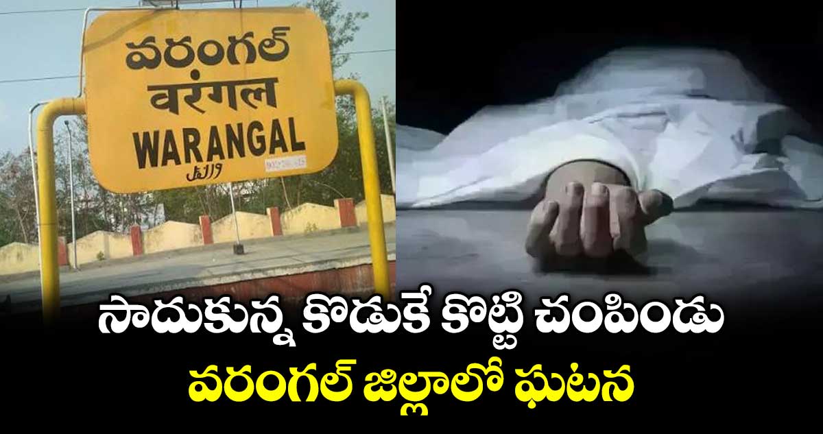 సాదుకున్న కొడుకే కొట్టి చంపిండు.. వరంగల్ జిల్లాలో ఘటన