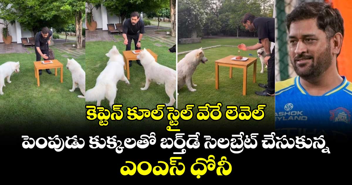 కెప్టెన్ కూల్ స్టైల్ వేరే లెవెల్.. పెంపుడు కుక్కలతో బర్త్‌డే సెలబ్రేట్ చేసుకున్న ఎంఎస్ ధోనీ