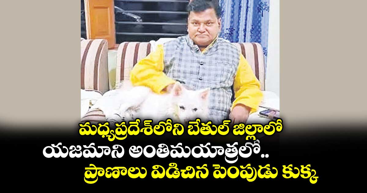 మధ్యప్రదేశ్‌‌లోని బేతుల్ జిల్లాలో యజమాని అంతిమయాత్రలో..ప్రాణాలు విడిచిన పెంపుడు కుక్క