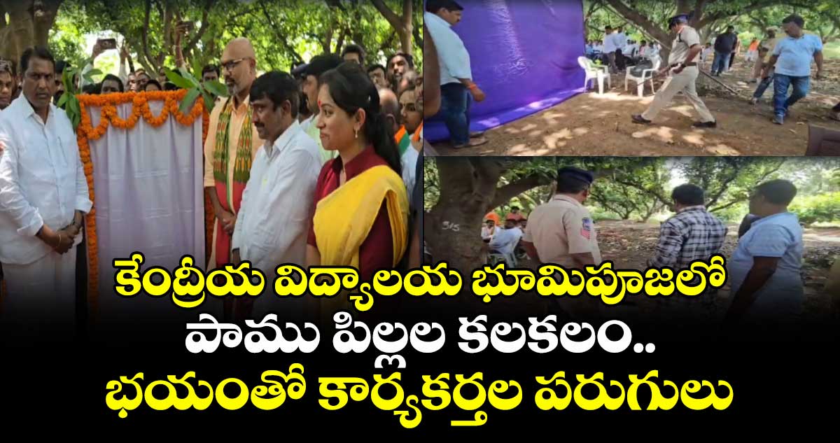 కేంద్రీయ విద్యాలయ భూమిపూజలో పాము పిల్లల కలకలం.. భయంతో కార్యకర్తల పరుగులు