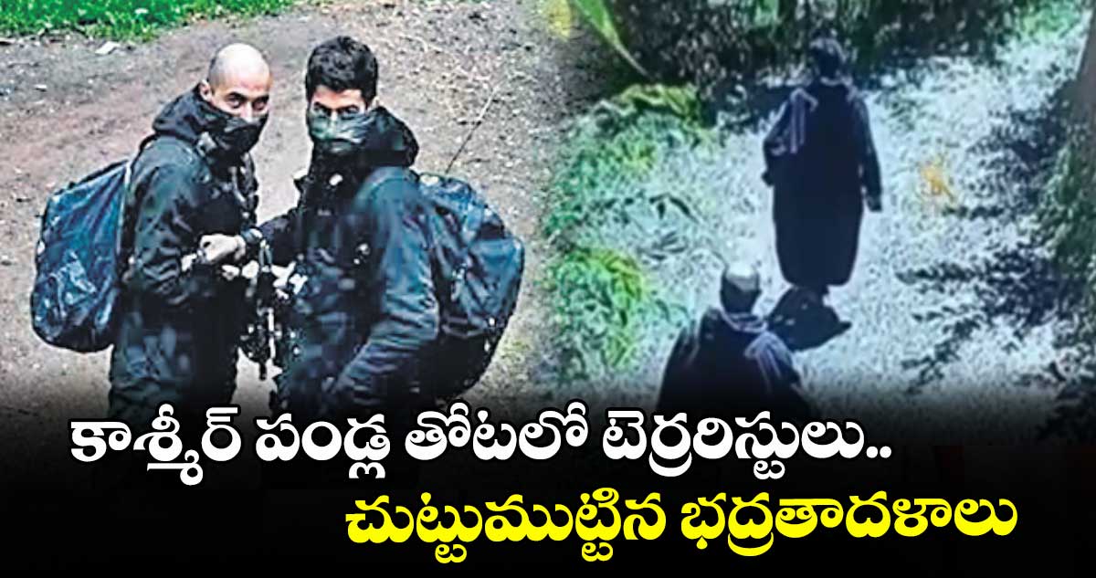 కాశ్మీర్ పండ్ల తోటలో టెర్రరిస్టులు..  చుట్టుముట్టిన భద్రతాదళాలు