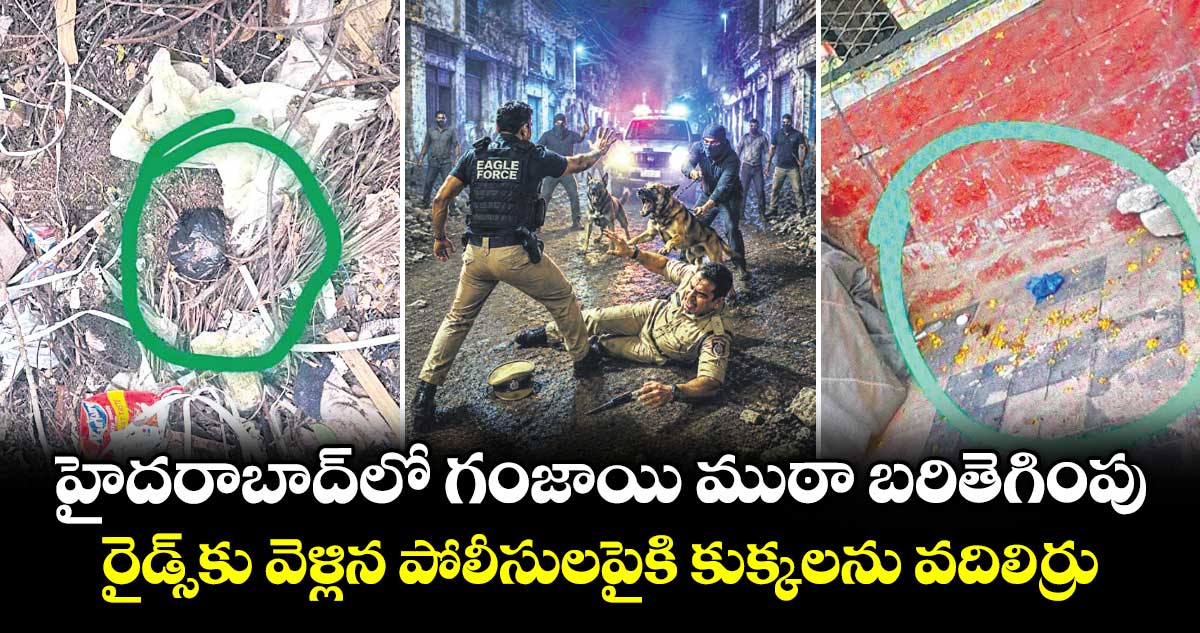 హైదరాబాద్‎లో గంజాయి ముఠా బరితెగింపు.. రైడ్స్‌‌‌‌‌‌‌‌‌‌‌‌‌‌‌‌‌‌‌‌‌‌‌‌‌‌‌‌‌‌‌‌‌‌‌‌‌‌‌‌‌‌‌‌‌‌‌‌‌‌‌‌‌‌‌‌‌‌‌‌‌‌‌‌కు వెళ్లిన పోలీసులపైకి కుక్కలను వదిలిర్రు