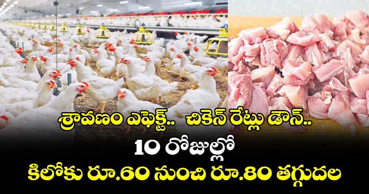 శ్రావణం ఎఫెక్ట్..  చికెన్ రేట్లు డౌన్..10 రోజుల్లో కిలోకు రూ.60 నుంచి రూ.80 తగ్గుదల
