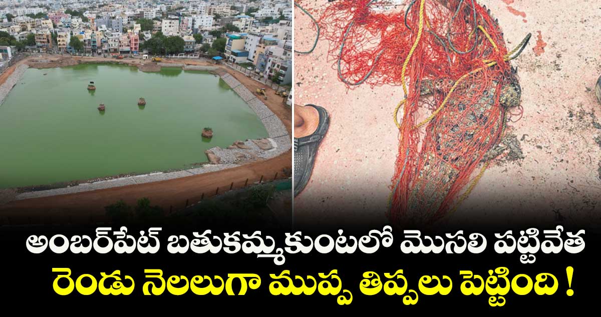 అంబర్పేట్ బతుకమ్మకుంటలో మొసలి పట్టివేత.. రెండు నెలలుగా ముప్ప తిప్పలు పెట్టింది !