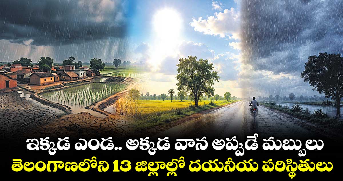 ఇక్కడ ఎండ.. అక్కడ వాన  అప్పుడే మబ్బులు..తెలంగాణలోని 13 జిల్లాల్లో దయనీయ పరిస్థితులు