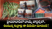 హైదరాబాద్⁫లో బాయ్స్ హాస్టల్స్⁬లో ఉంటున్న కుర్రాళ్లు ఈ వీడియో చూడండి !
