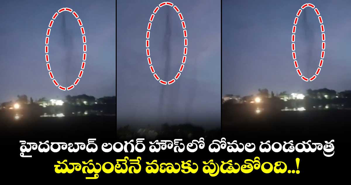 హైదరాబాద్ లంగర్ హౌస్ లో దోమల దండయాత్ర... చూస్తుంటేనే వణుకు పుడుతోంది..!