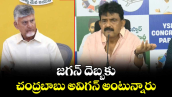 జగన్ దెబ్బకు చంద్రబాబు అవిగన్ అంటున్నారు: పేర్ని నాని 