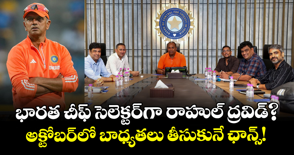 భారత చీఫ్ సెలెక్టర్⁬గా రాహుల్ ద్రవిడ్?.. అక్టోబర్‌లో బాధ్యతలు తీసుకునే ఛాన్స్!