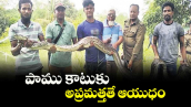 వెలుగు ఓపెన్ పేజీ.. పాము కాటుకు అప్రమత్తతే ఆయుధం 