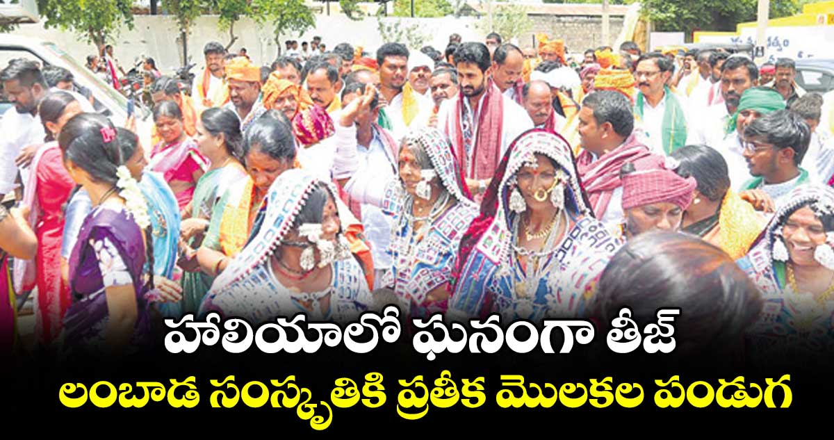 హాలియాలో ఘనంగా తీజ్..లంబాడ సంస్కృతికి ప్రతీక మొలకల పండుగ