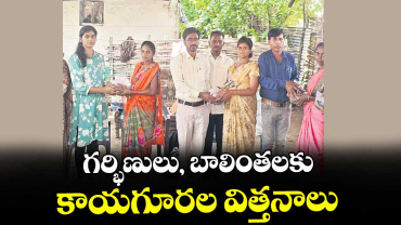 జైనూర్: గర్భిణులు, బాలింతలకు కాయగూరల విత్తనాలు