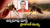 వెలుగు ఓపెన్ పేజీ.. చిన్నచూపు చూస్తే ప్రాణాలకే ముప్పు