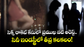 సెక్స్ రాకెట్ కేసులో ప్రముఖ నటి అరెస్ట్.. సినీ ఇండస్ట్రీలో తీవ్ర కలకలం!