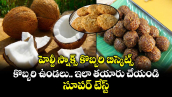 Food:  హెల్దీ స్నాక్స్ కొబ్బరి బిస్కెట్స్.. కొబ్బరి ఉండలు.. ఇలా తయారు చేయండి .. సూపర్ టేస్ట్