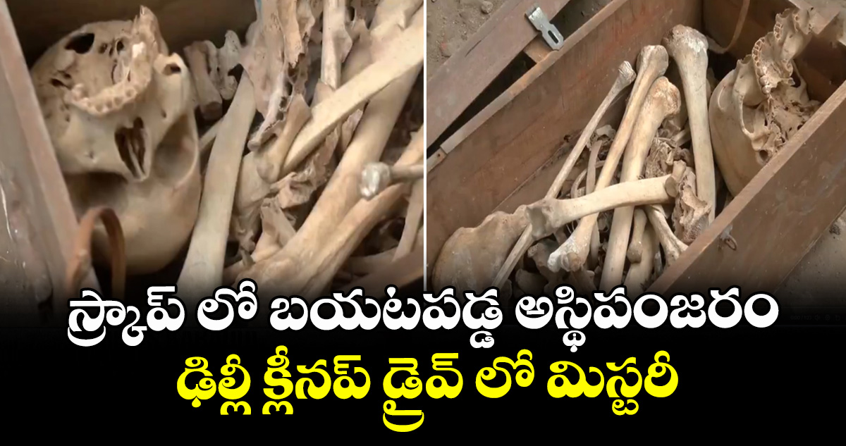 స్క్రాప్‌ లో బయటపడ్డ అస్థిపంజరం.. ఢిల్లీ క్లీనప్ డ్రైవ్ లో మిస్టరీ