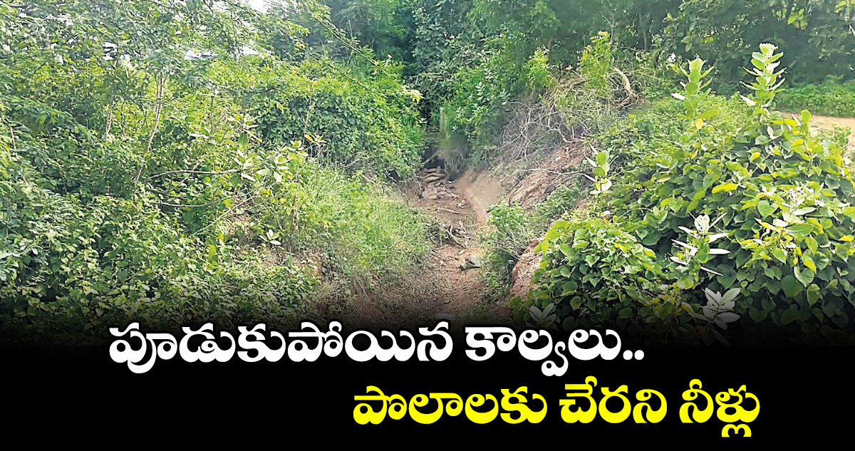 హనుమకొండ: పూడుకుపోయిన కాల్వలు.. పొలాలకు చేరని నీళ్లు