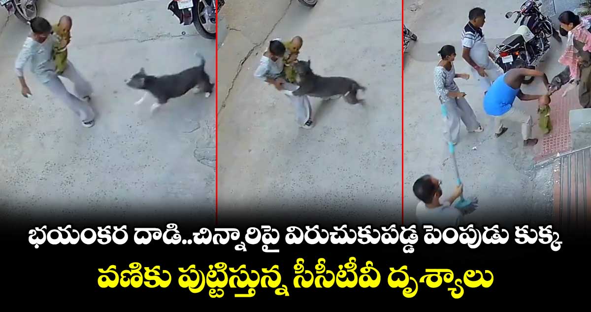 భయంకర దాడి..చిన్నారిపై విరుచుకుపడ్డ పెంపుడు కుక్క..వణికు పుట్టిస్తున్న సీసీటీవీ దృశ్యాలు భయంకర దాడి..చిన్నారిపై విరుచుకుపడ్డ పెంపుడు కుక్క..వణికు పుట్టిస్తున్న సీసీటీవీ దృశ్యాలు