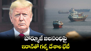 హార్మూజ్ జలసంధిపై ఇరాన్‌‌తో గల్ఫ్ దేశాల భేటీ