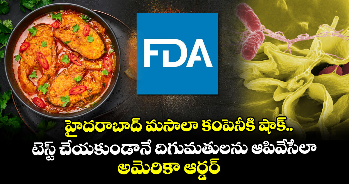 హైదరాబాద్ మసాలా కంపెనీకి షాక్.. టెస్ట్ చేయకుండానే దిగుమతులను ఆపివేసేలా అమెరికా ఆర్డర్