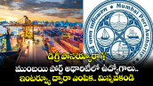  డిగ్రీ పాసయ్యారా ? ముంబయి పోర్ట్ అథారిటీలో ఉద్యోగాలు.. ఇంటర్వ్యూ ద్వారా ఎంపిక.. మిస్సవకండి 