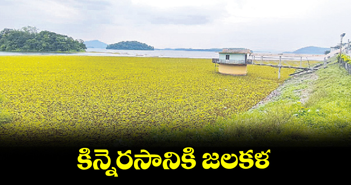 కిన్నెరసానికి జలకళ కిన్నెరసానికి జలకళ