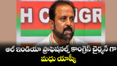 ఆల్  ఇండియా ప్రొఫెషనల్స్ కాంగ్రెస్  చైర్మన్ గా మధు యాష్కీ 