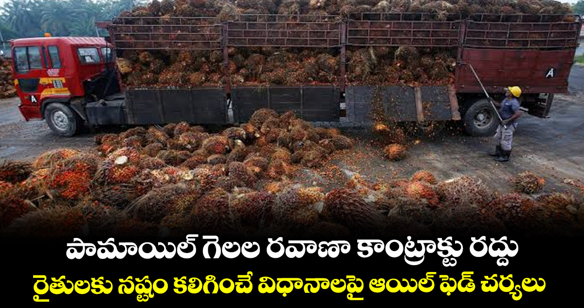 పామాయిల్ గెలల రవాణా కాంట్రాక్టు రద్దు..రైతులకు నష్టం కలిగించే విధానాలపై ఆయిల్‌‌ ఫెడ్ చర్యలు