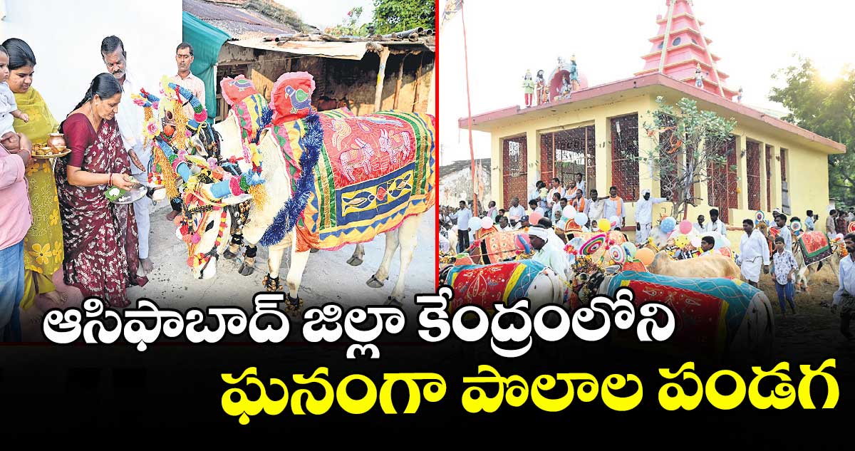 ఆసిఫాబాద్ జిల్లా కేంద్రంలోని ఘనంగా పొలాల పండగ