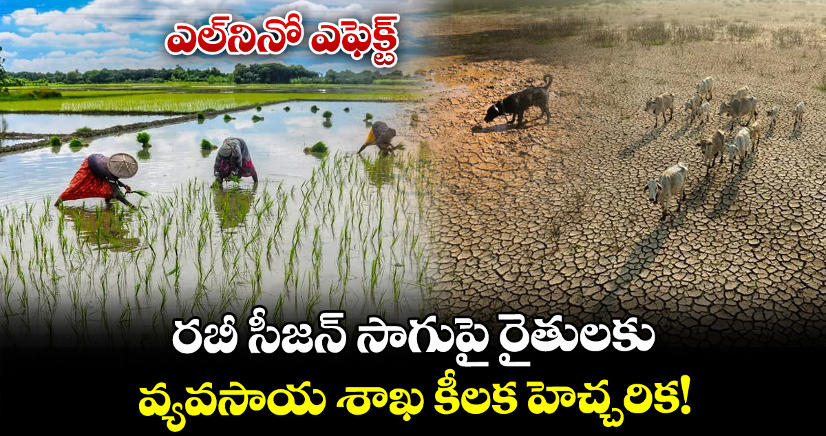 ఎల్‌నినో ఎఫెక్ట్: రబీ సీజన్ సాగుపై రైతులకు వ్యవసాయ శాఖ కీలక హెచ్చరిక!